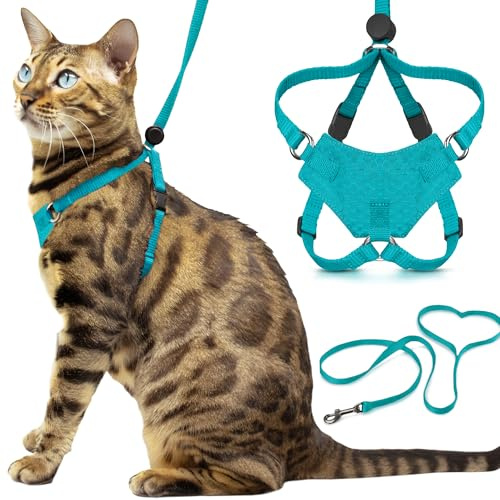 Houdini™ Set aus Katzengeschirr und Leine von OutdoorBengal, ausbruchsicheres, mittelgroßes Katzengeschirr für Spaziergänge, Türkis