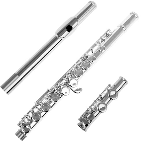 Querflöte Instrument 16 geschlossene, offene Löcher, C-Taste, professionelle Querflöte, Konzertmusikinstrument mit Box, Stoffstäbchen, Handschuhen