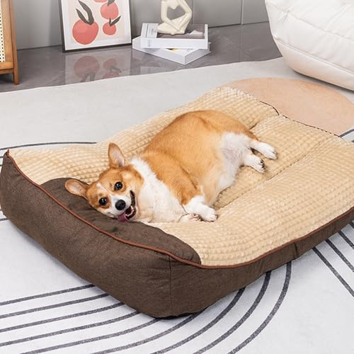 DUOLEH Hundebett Grosse Hunde, Orthopädisches Hundekissen für Hunde, Hund Angst Kissen für Sehr Große Haustiere, Hundekorb waschbar, rutschfeste Unterseite Hundecouch (80x64x18cm,Braun)