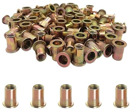 100 pz Testa Piatta Rivetto Dado In Acciaio Inox M3 M4 M5 M6 M8 M10 M12 Rivnut Zincato Cap Rivetto Dado Filettato(M10)