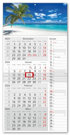 Timr 4-Monatskalender Streifenkalender 2026 - Wandkalender 4 Monate mit Schieber - 60 cm Viermonatskalender zum eintragen I Motiv Karibik Strand I tr322