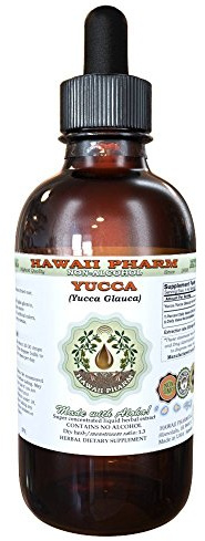 Hawaii Pharm Yucca Alcohol-Free Liquid Extract, Yucca (Yucca Glauca) Dried Root Glycerite Natural Herbal Supplement, USA 4 fl.oz