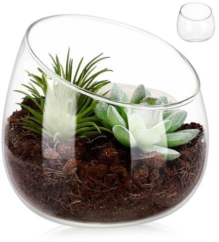 MILISTEN Glasvase Blumen Pflanzen Anlage Schale Vase saftiges Terrarium Bonbonglas aus Glas Terrarienschale Kleine saftige Töpfe Fischschalen für Tafelaufsätze Transparent
