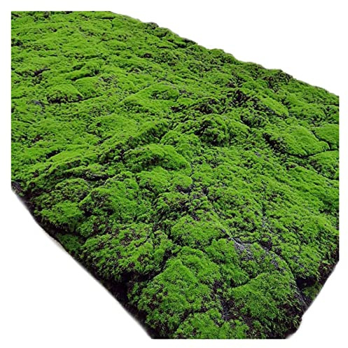 YIQIFLY Simulation Artificial Moss Mat Fake Grass Rug DIY Synthetic Turf Lawn Carpet for Wedding Home Backyard Balcony Indoor Outdoor Decor (Color : Dark Green, Size : 1x1m(3.2x3.2ft))