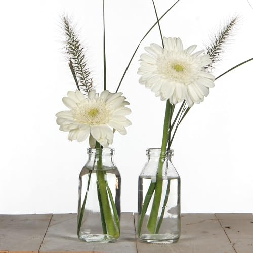 12 x Glasfläschchen H 10,5 cm - kleine Deko Vasen für die Tischdeko | Vintage - Minivase (12 x Glasfläschen + weißem Dekoband) Blumenvasen für Hochzeit & Feierlichkeit
