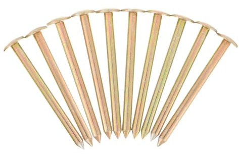 GALPADA 10 pièces Clous de Marquage Résistants pour Arpentage Piquets de Mesure Précis et Réutilisables Pointe Longue pour Marquage de Terrain et Limites de Propriété