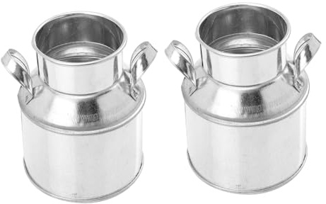 TOYANDONA 2pezzi Secchio per Piantare Vintage in Contenitore per Piante da Casa Secchio Portaoggetti da Scrivania Articoli per