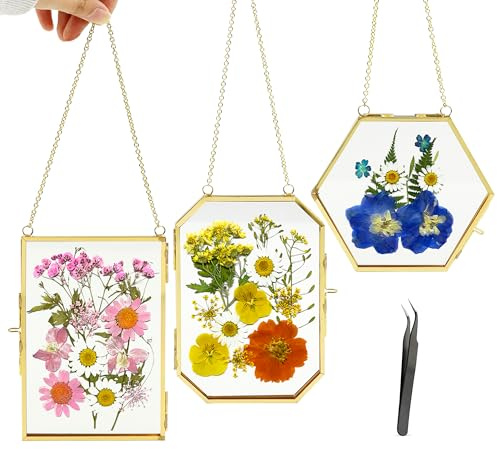 3 Pack Pressed Flower Frame with Chain, Small Brass Floating Frame Decor | 3 Shapes Double Glass Frame for Plants with Tweezers, Golden Hanging Picture Frame for DIY Home Wall Decor Photo Display