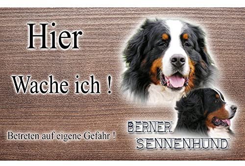 hier wache ich hund Berner Sennenhund 20/12,5 cm