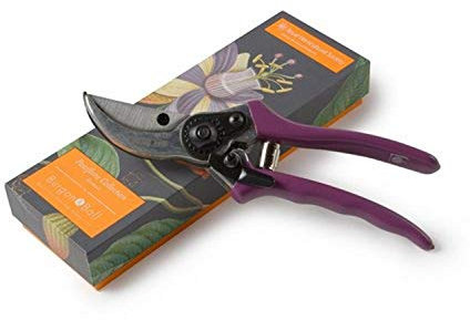 Burgon & Ball GRH/SCBOXPASS Passiflora Secateurs