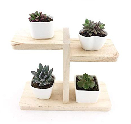 Mini Pflanzenständer aus Holz – dekoratives Blumenregal für drinnen und draußen, Leiterregal für Töpfe, Beige, Pflanzen-Display-Einheit, ideal für Garten und Heimdekoration, platzsparendes Design