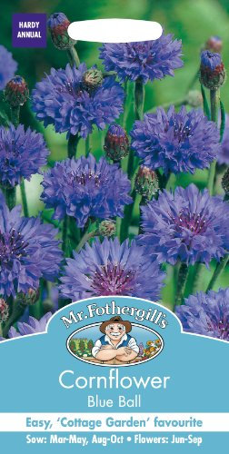 Mr Fothergill's 20659 Flower Seeds, Cornflower Blue Ball