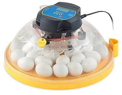 Maxi II Eco - Brutgerät | Brutautomat für bis zu 30 Hühnereier oder 50 Wachteleier • Manuelle Wendung • Biomaster®-Schutz