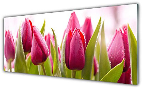 Tulup Acrylic Glass Print 125x50cm Wall Art - Wall Picture Plastic Acrylic Glass - Tulips Floral