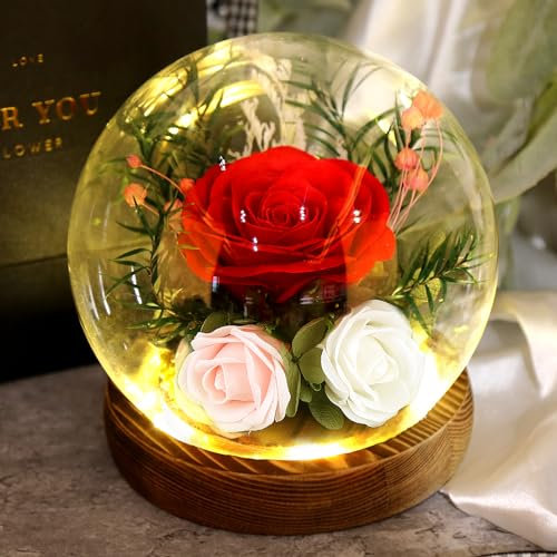 FAYODO Ewige Rose im Glas mit Licht,3 Infinity Rosen Geschenke für Frauen,Led Glasrose Geschenk für Mama,Ehefrau,Oma,Freundin,Tochterzu zu Muttertag Valentinstag Geburtstag Gifts for Mom(Rot)