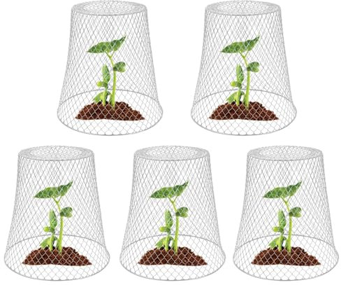 Mingchengheng 5 Stück Draht-Pflanzenschutz - Hühnerdraht-Cloche-Pflanzenabdeckungen,Draht-Pflanzenschutz Vor Tieren, Pflanzenschutzvorrichtungen Gartennetz Für Pflanzen Sträucher Und Gemüse