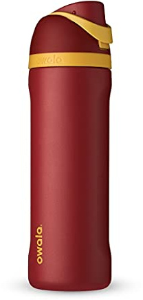 Owala Harry Potter FreeSip Insulated Stainless Steel Water Bottle with Straw, BPA-Free Sports Water Bottle, Great for Travel, 24 oz, Gryffindor