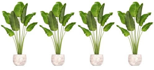 Artibetter 4pièces Autocollants Muraux Potted Plants Décalques Muraux Végétaux Autoadhésifs Stickers Décoratifs Pour Chambre Salon Bureau Faciles à Poser Retirer