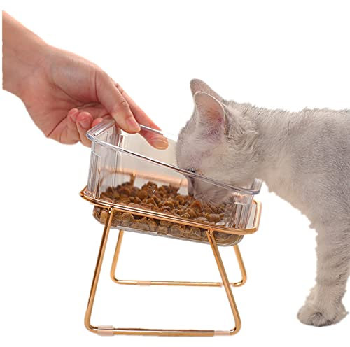KMERCE Gamelle Chat Surélevée, Gamelles Chien Chaton 625ml, Mangeoirs ou Abreuvoirs Inclinée de 15°, INS Chic Style, Croquette Gamelle pour Chiots en Fer et ABS