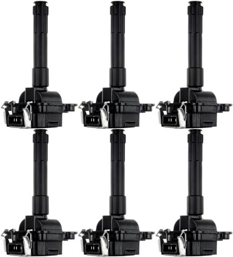 Satz Von 6 Zündspulen, Für Audi A8/A6/S4 Für Allroad Für Vw Für Golf Für Passat 1997–2005 Oe# Uf290 Uf369 C1169
