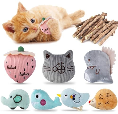 SeaMorn Gioco Gatto, Erba Gatta per Gatti Pronta, Giochi per Gatti in Casa, Giochi Interattivi per GattiI Gatto Accessori