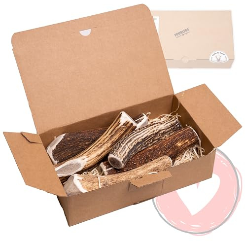 FOURLEGS® natürlicher Kauspaß für Hunde aus 100% Hirschgeweih - Mineralstoffe, Kauspielzeug, Kaustange, Wildgeschmack, Geweih, Knochen, Hirsch, Kauartikel - Größe XXL ganz Sparpaket (5 Stück)