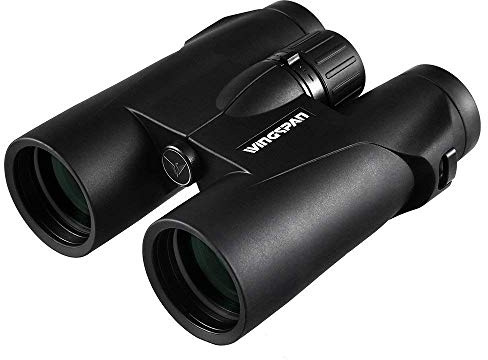 Fernglas Wingspan Optics WideViews HD 8X42 - Professionelles Binokular Zur Vogelbeobachtung - Extra Weites Sichtfeld, Für Helle, Klare Details - Feldstecher In HD Qualität Zum Unschlagbaren Preis