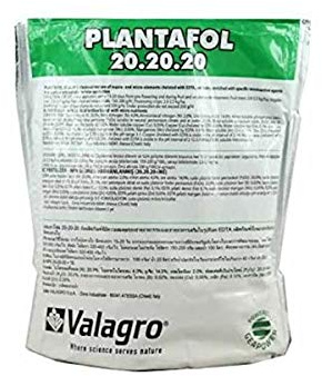 VALAGRO PLANTAFOL 20-20-20 Kg.1