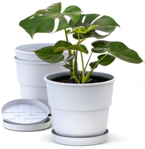 Plastard Blumentopf 3er Set Ø32 cm mit Untersetzer Weiß, Pflanzkübel | Witterungs- UV & frostbeständig, inkl. 24 cm Untersetzer, ideal für Garten, Balkon & Innenbereiche, Deko Pflanztopf 12 Liter
