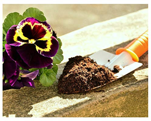 Potting Compost for House Plants - 1000ml Multipurpose Soil Block (Add 500ml water to rehydrate)