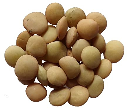 Lentille Commune Blonde Bio - 250 grammes - Lens Culinaris L - Lentil - SEM02