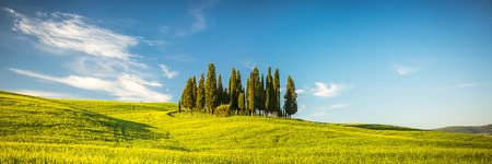 adrium Holz-Bild 150 x 50 cm: Schöne Landschaft in der Toskana, Italien(52414996)