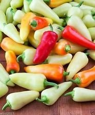50 Santa Fe semi Grande Pepper (Capsicum annuum) conosciuta anche Come Guero- biologico!