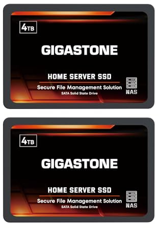 Gigastone Home NAS SSD 4TB (2er-Pack) 24/7 Dauerhaft Hohe Dauerhaltbarkeit Persönlicher Server Cloud Datenspeicher RAID 3D NAND 2,5 Zoll SATA III Interne Solid State Festplatten