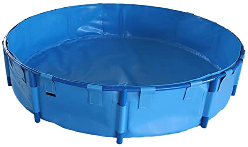 Grande piscine hors sol profonde pour la famille, piscine extérieure avec cadre en plastique pour tout-petits, adultes et enfants, taille 3 m x 0,8 m