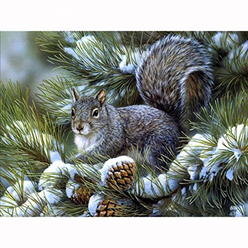 Winterlandschaft Bild auf Leinwand,Eichhörnchen und Tannenzapfen Tier auf Leinwand,Leinwand Wandkunst Gemälde für Wand Deko 40x50cm(16x20in) Rahmenlos