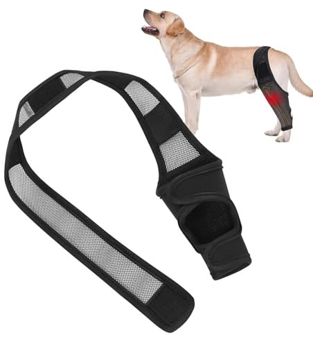 SHENGYIG XL Leckschutz für Hunde-Verstellbare Hundebandage Hinterbein (Schwarz)-Kniebandage für Hunde mit Beinschutz-Unterstützt Vorde-& Hinterbeine-Ideal bei Inkontinenz, Wunden & Gelenkproblemen