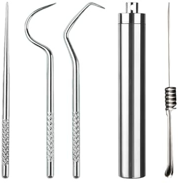 Metal Toothpick & Holder Set, Stainless Steel Portable Keyring Travel Toothpicks, 5PCS Reusable Dental Hygiene Kit for Camping Picnic Gifts (Silver)