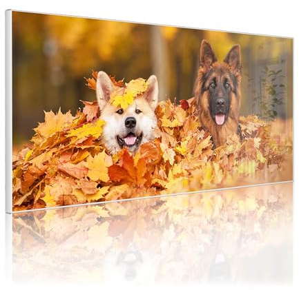 banjado Magnettafel Metall 78 x 37cm - beschreibbare Magnettafel - Metall Pinnwand als Memoboard - Magnetwand Küche, Büro, Kinderzimmer Weiß inkl. 4 Magnete & Montageset - Motiv Wayne und Wanda