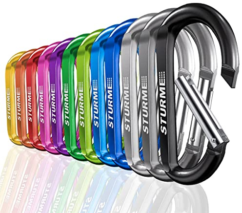 3 Aluminum D Ring Carabiners Clip D Shape Spring Loaded Gate Small Keychain Carabiner Clip Set for Outdoor Camping Mini Lock Snap Hooks Spring Link Key Chain Durable Improved 12 PCS (Assorted)