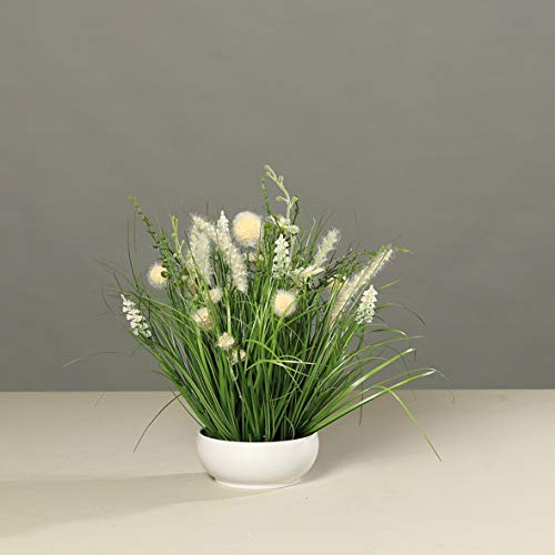 mucplants Blumengesteck weiß/Creme künstliche Wiesenblumen in weißer Schale, H40cm Tischgesteck Kunstblumen