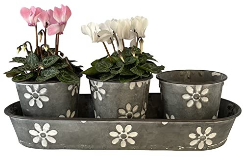 OF 3 kleine süße Blumentöpfe im Set auf Tablett mit Blumen verziert - Kräutertopf, Übertopf P49