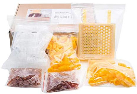 Domasvmd Apicoltura Re Sistema di allevamento Box Cup Cell Cover Cage Apicoltura Api Strumenti Forniture