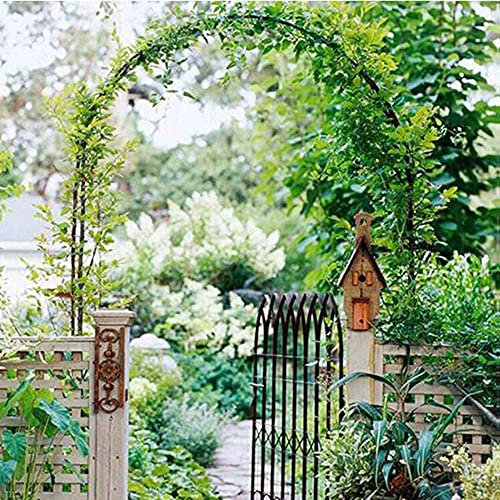 Iron Arch Flower Stand for Garden Decoration Ideal for Climbing Plants like Roses Rose Flowers Clematis Black 180cm