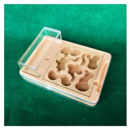AZHKJKZH Ameisen Terrarium Ameisenburg Aus Gips, DIY-Ameisenfarm Acryl, Flaches Nest, Palast, Ameisennest, Farm, Beobachten Sie Sich Selbst Beim Graben Eines Ameisenhauses, Tunnel Ameisenfarm Zubehör