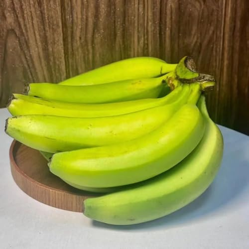 semi di banano - interno resistenti balcone biologici 20pcs