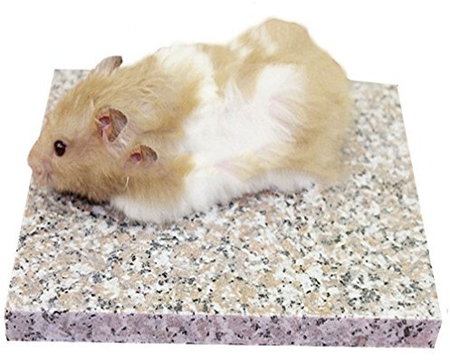 Pierre de granit, pour refroidissement de petits animaux, hamster chinchilla, décoration pour habitation, 19,8 x 15 cm - Emours.
