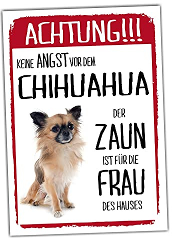 Chihuahua Langhaar Dog Schild Achtung Zaun Frau Spruch Türschild Hundeschild Warnschild Geschenkidee lustiger Spruch Hundemotiv Aluminium Wetterfestes Hundeschild
