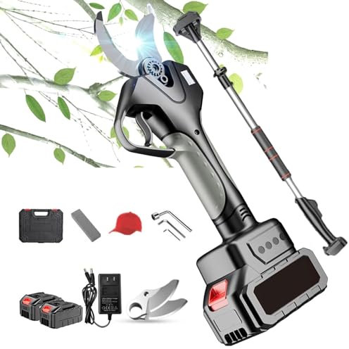 Tijeras de Podar Eléctricas, Tijeras de Podar Eléctricas Inalámbricas con Poste de Extensión de 2,1 M, Podadora de Árboles Extensible Corte Máximo 50 mm, 2 Tijeras de Jardín a Batería for Setos