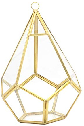 YUOIUX Estante de cristal de rombos de cinco lados, terrario geométrico para suculentas, adecuado para decoración de escritorio, maceta grande de musgo transparente